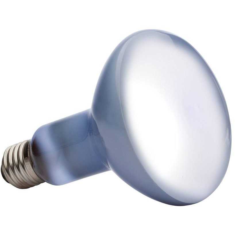 Daylight Basking Spot Lamp O720