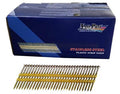 3x22 inch 304 Stainless Steel 21 Degree Plastic Strip Nails Z143309