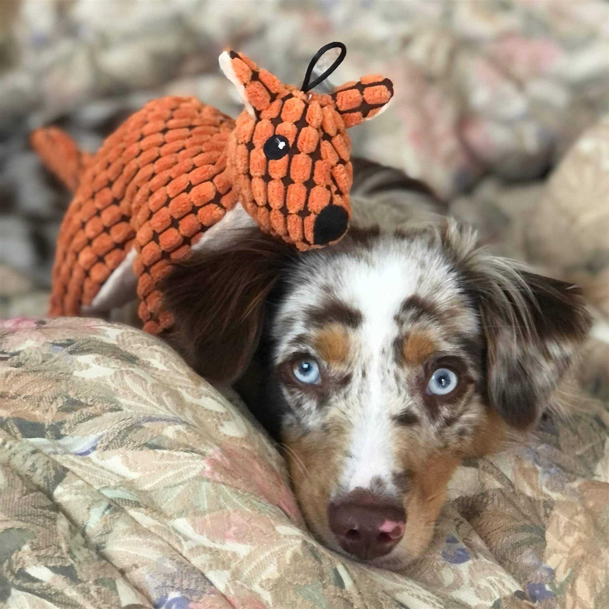 Stuffed Plush Squeaky Dog Toy K734