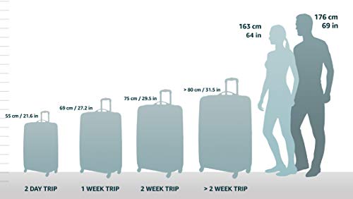 Black 15-Inch Upright Wheeled Carry-On Luggage R544398