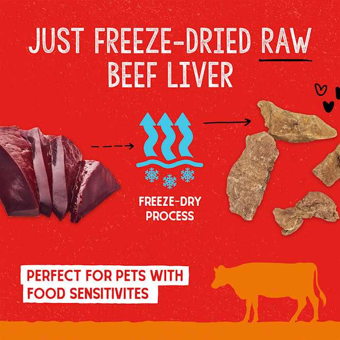 Freeze Dried Beef Dog Treats T912971