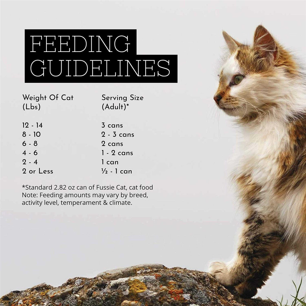 Chicken Gravy Cat Food Q9444
