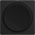 Wireless Hi-Fi Player P343