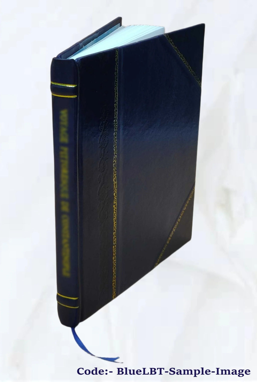Leather Bound Book Y300243