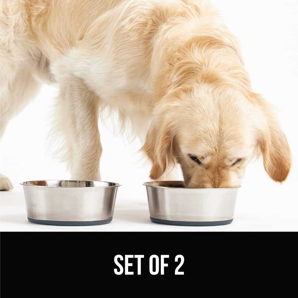 Stainless Steel Dog Bowl Set of 2 M2554