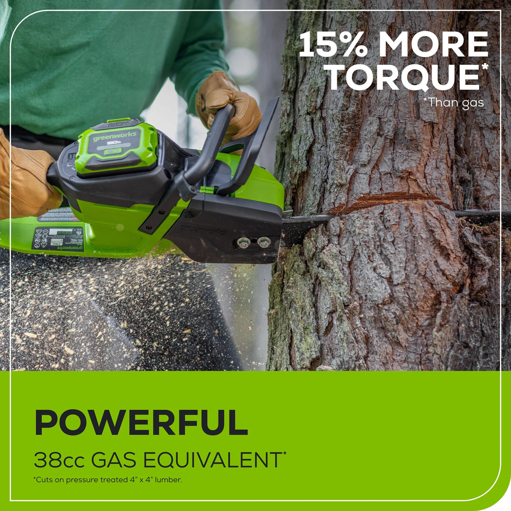 60V Brushless Chainsaw with 2.5 Ah Battery & Charger P2645