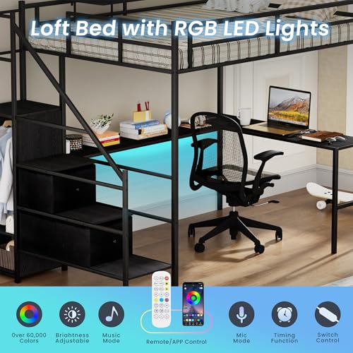 Full Size Black Metal Loft Bed with Desk and Stairs U22778