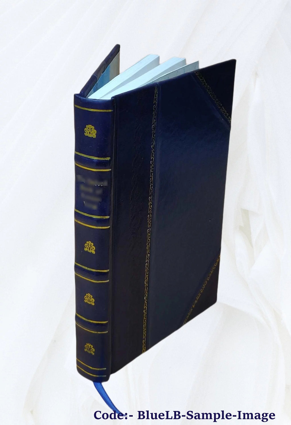 Leather Bound Book L866
