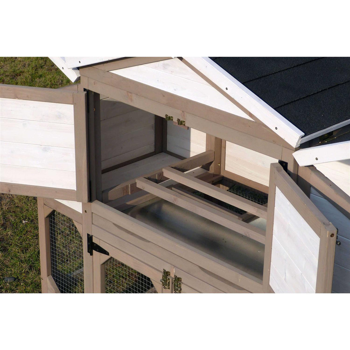 Chicken Coop D883