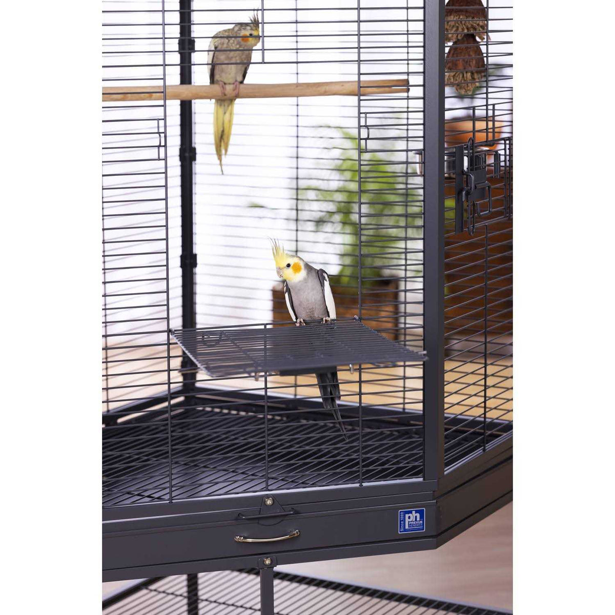 Corner Cage with Playtop X52418