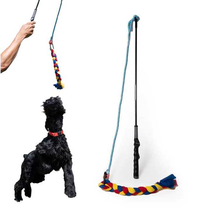 Interactive Flirt Pole Dog Toy with Fleece Rope Tether R71576