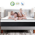 14 inch Gel Memory Foam Pocket Spring Hybrid Mattress F791346