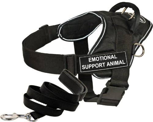 Padded Puppy Leash P645591