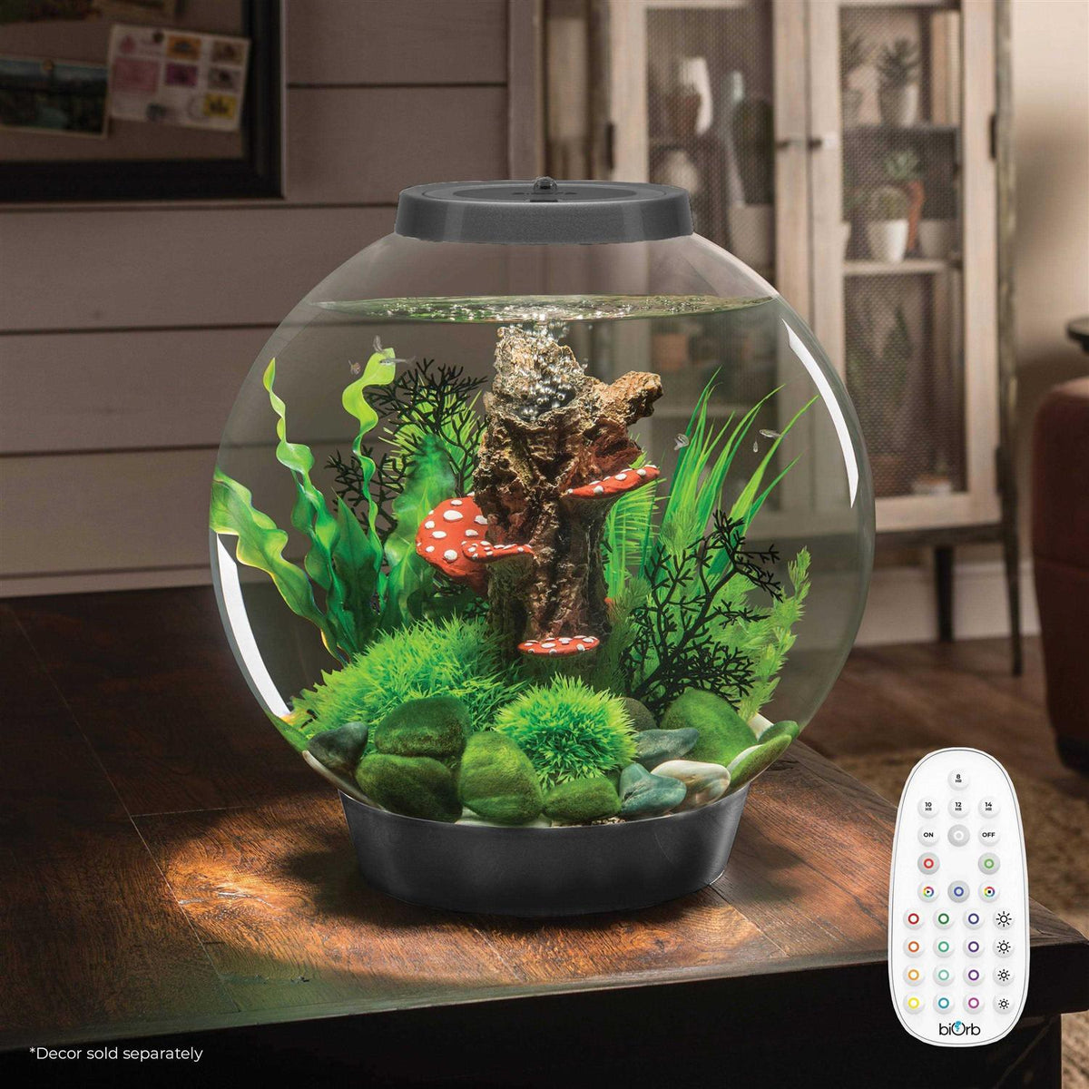 Classic 60 Aquarium with LED A280