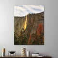 Canvas Giclee M65923