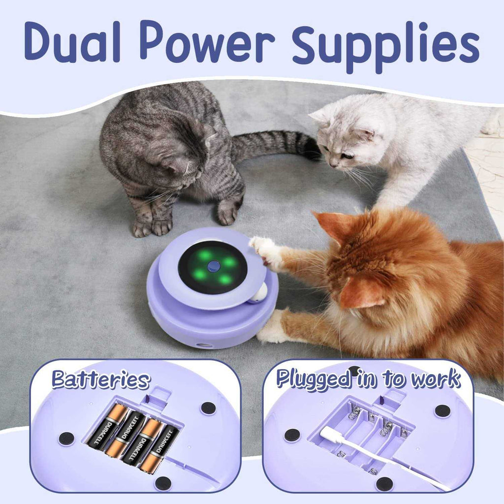 2-in-1 Interactive Cat Toy Balls W587716