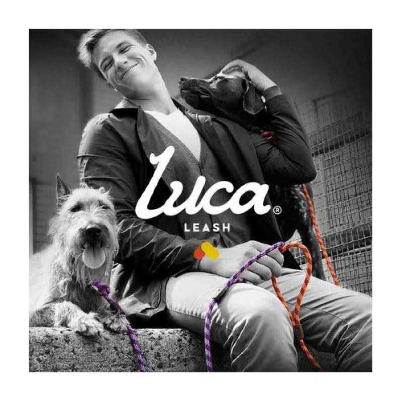 Slip Collar Dog Leash D647
