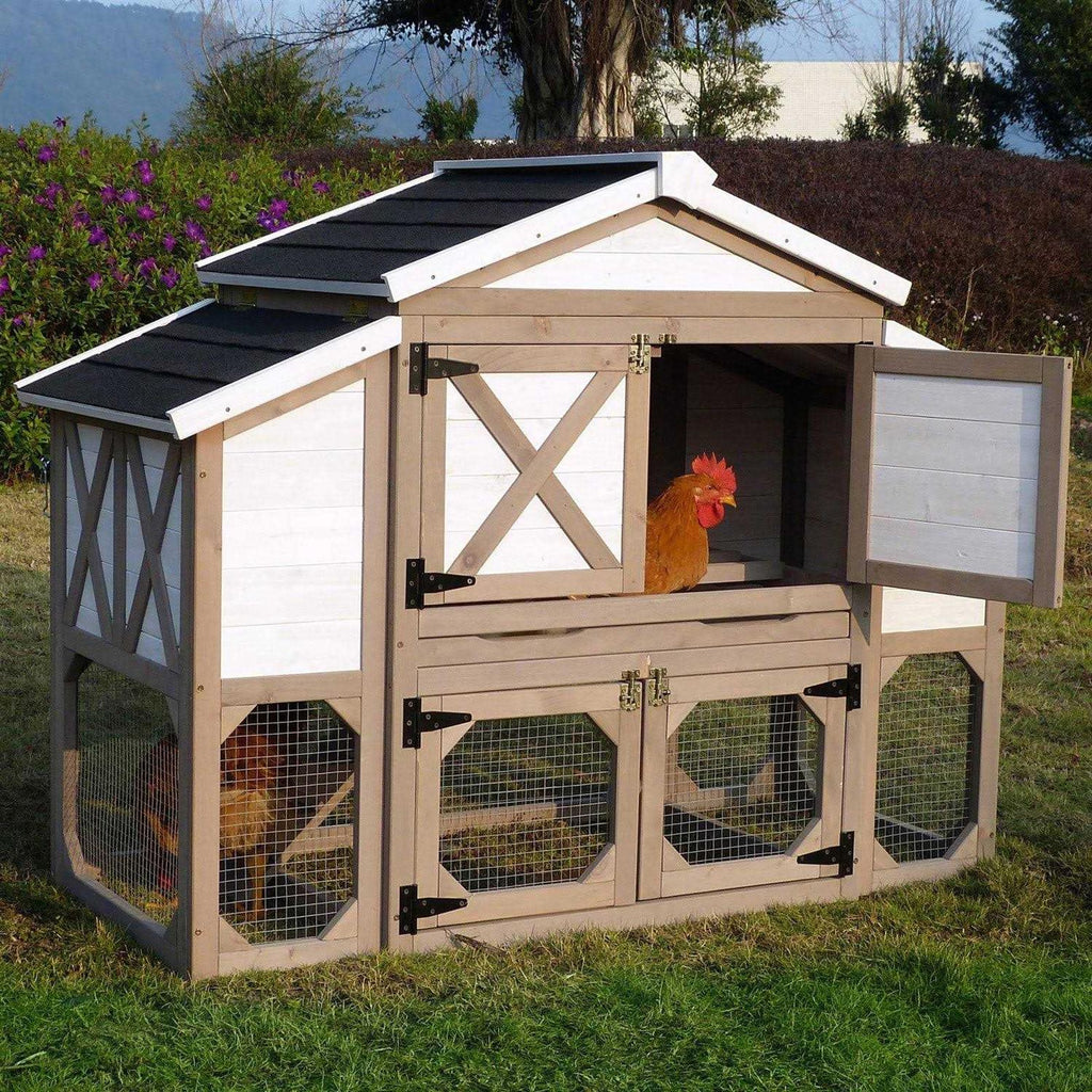 Chicken Coop D883