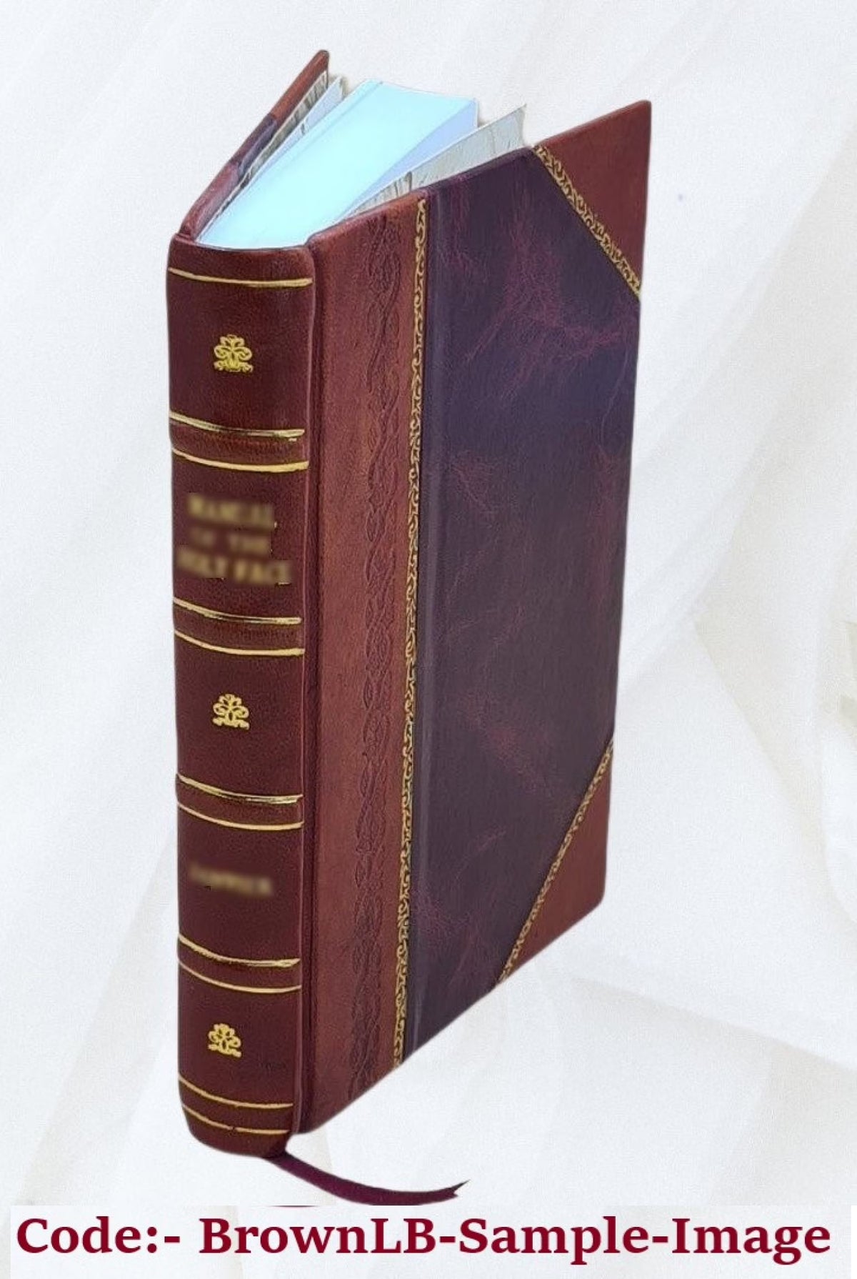 War's brighter side : the story of the Friend newspaper, edited by the correspondents with Lord Roberts's forces, March-April, 1900 / by Julian Ralph (one of the editors) ; with contributions from A. N593