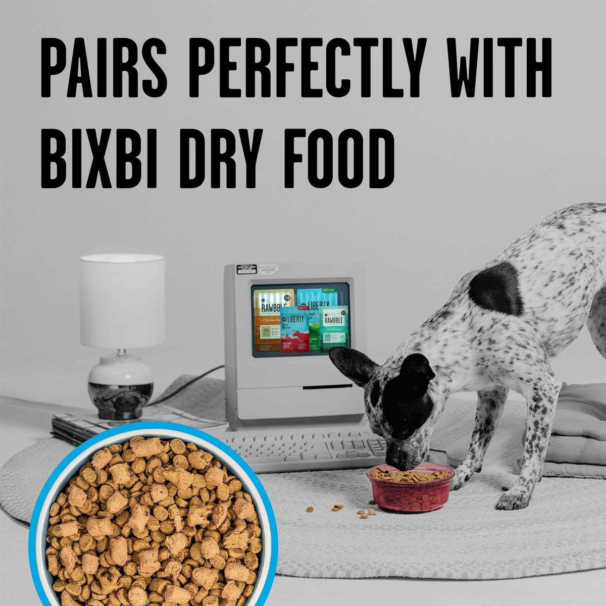 Chicken Freeze-Dried Dog Food P343