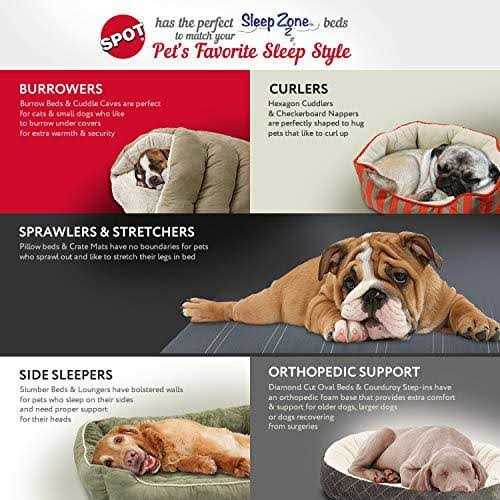 Quilted Oval Cuddler Pet Bed R72855