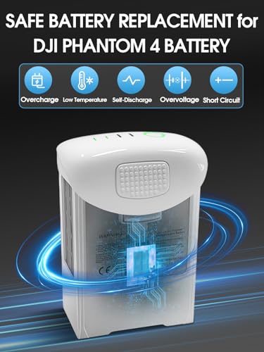 5870mAh Intelligent Flight Replacement Battery Pack P52823