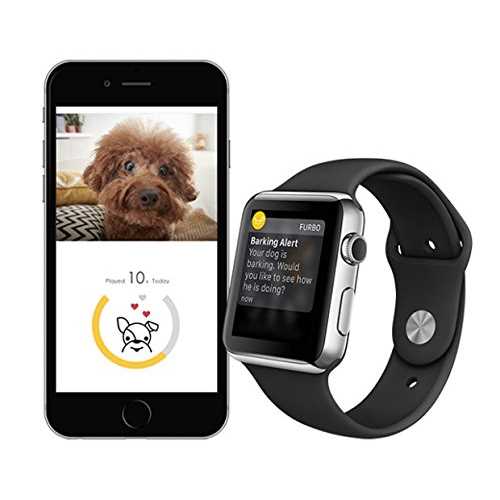 Dog Camera B409965