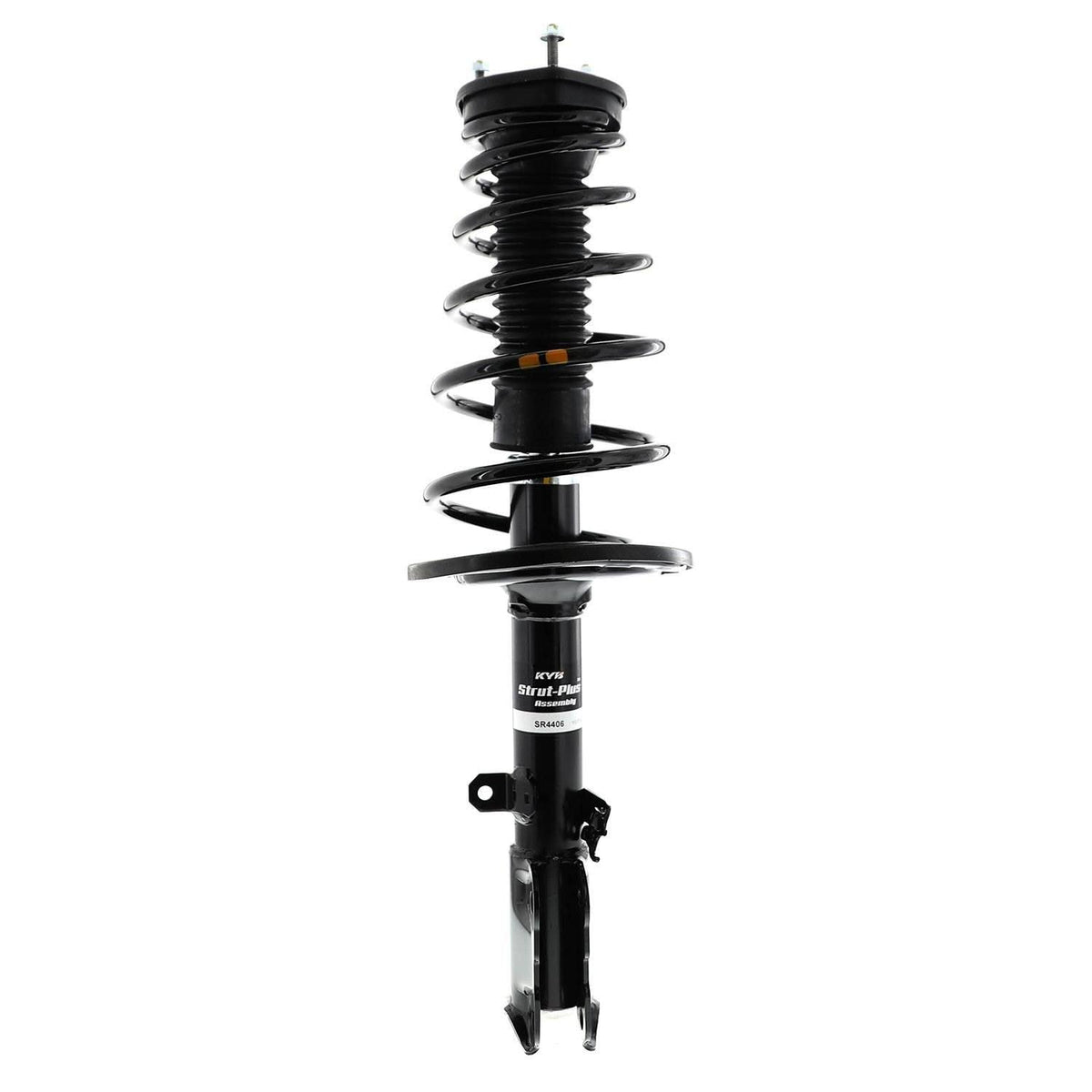 Strut and Coil Spring Assembly W13724