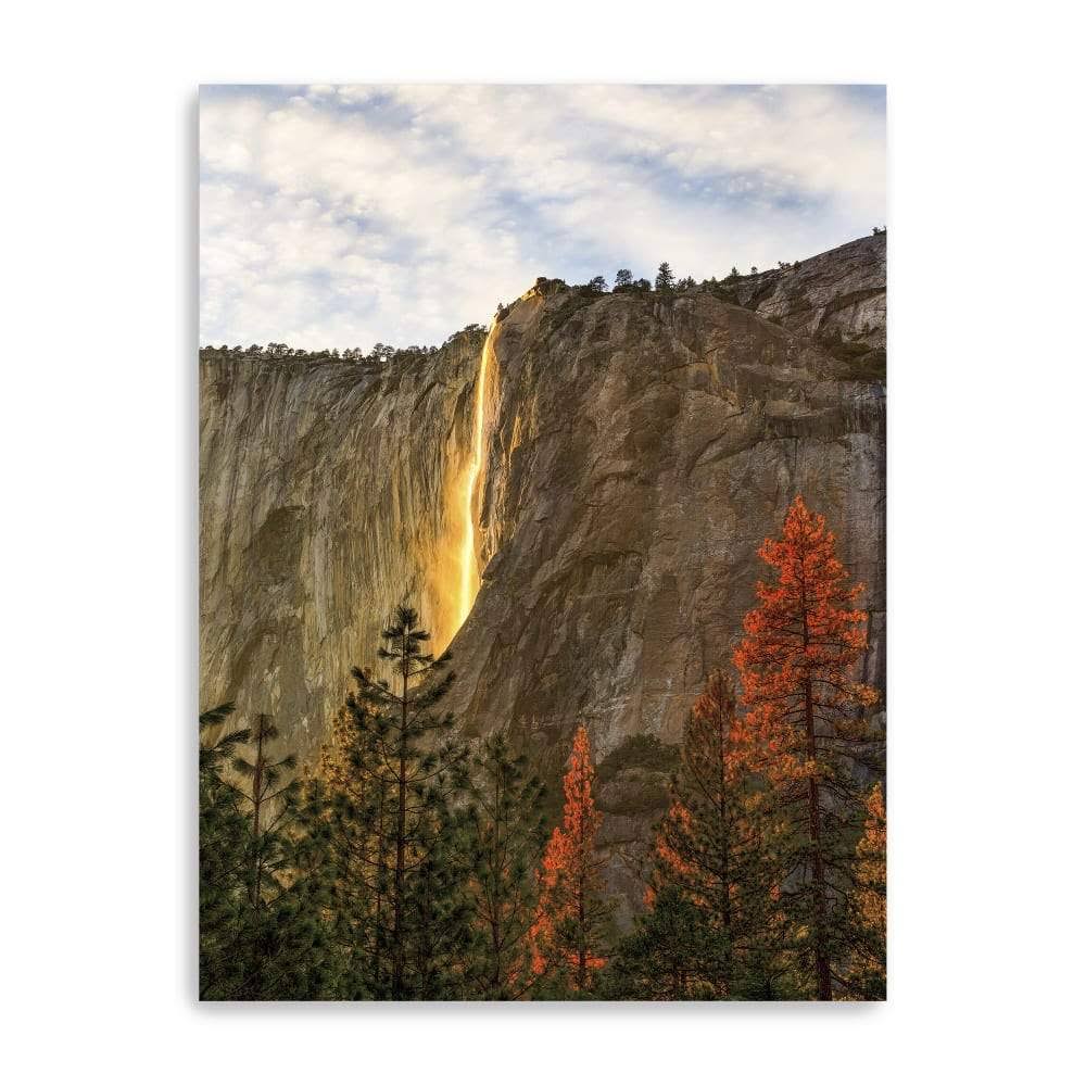 Canvas Giclee M65923