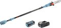 10 Inch 58 Volt Cordless Pole Saw Q299432