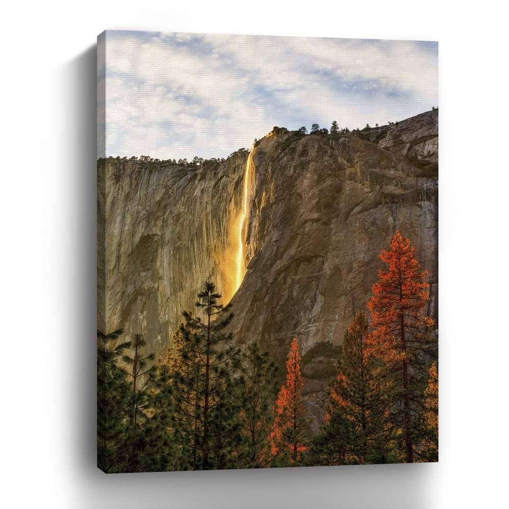 Canvas Giclee M65923