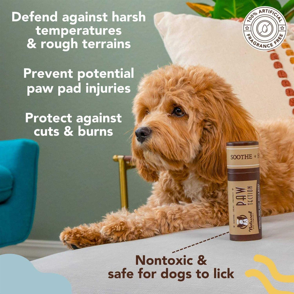 Dog Paw Protection V690012