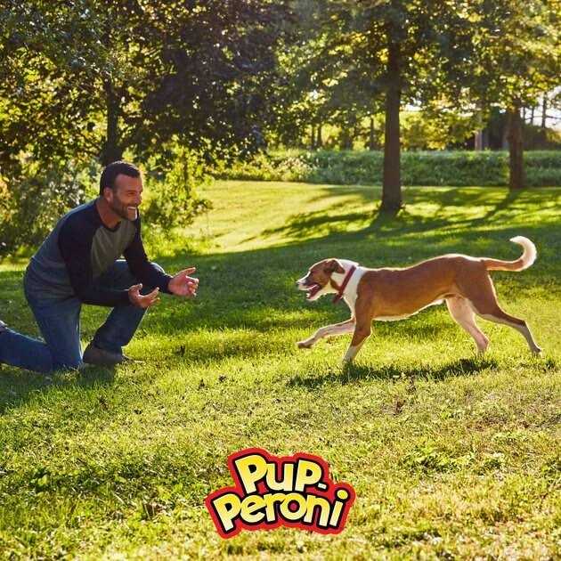 Pup-Peroni Triple Dog G38883