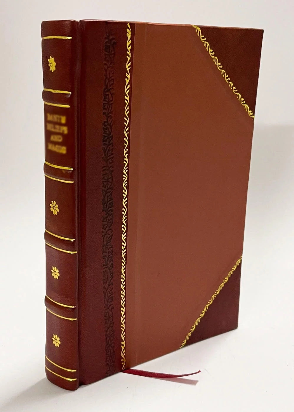 Leather Bound Furniture D36946
