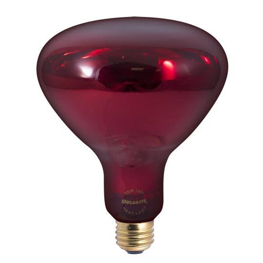 6 Pack Red Heat Lamp Light Bulb F9730