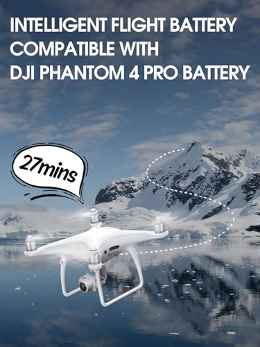 5870mAh Intelligent Flight Replacement Battery Pack P52823