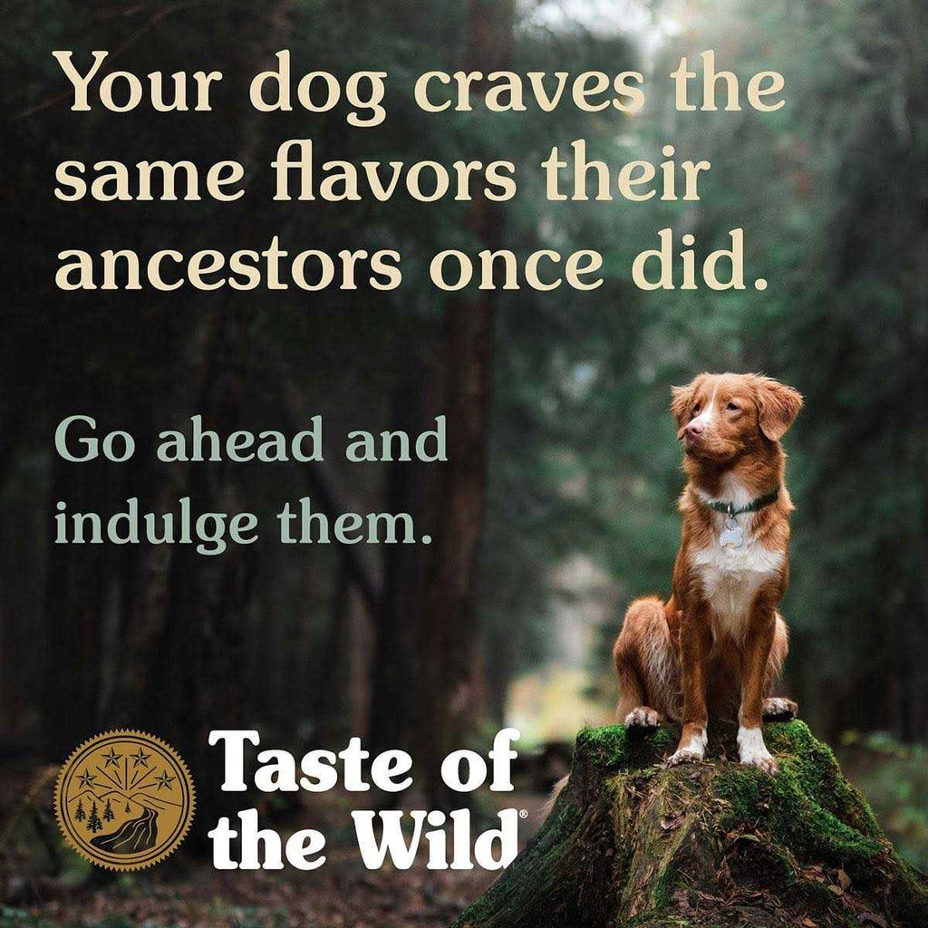 Salmon Dog Food J558851