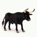 Black Plush Bull S550