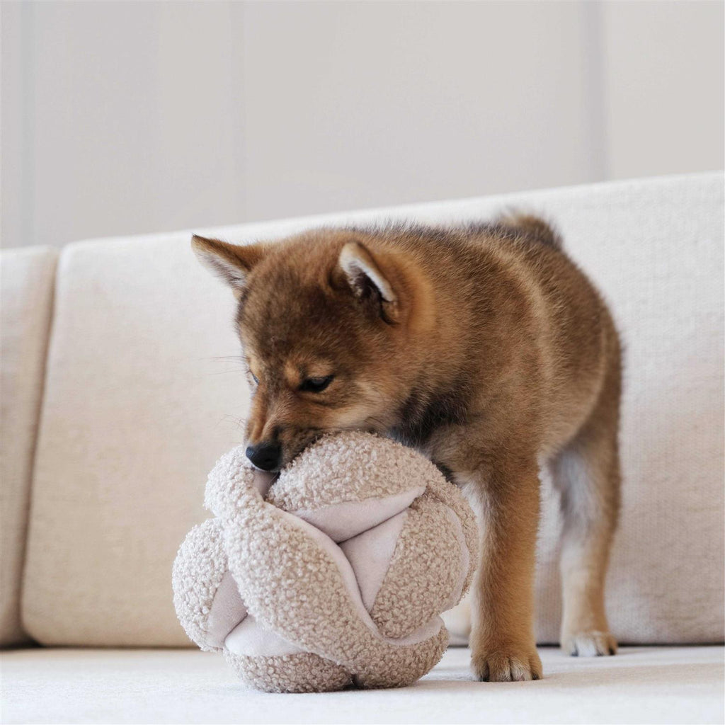 Dog Toy P69383