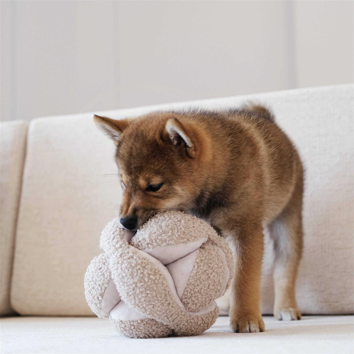 Dog Toy P69383