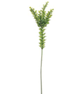 Eucalyptus Stem Green T65988