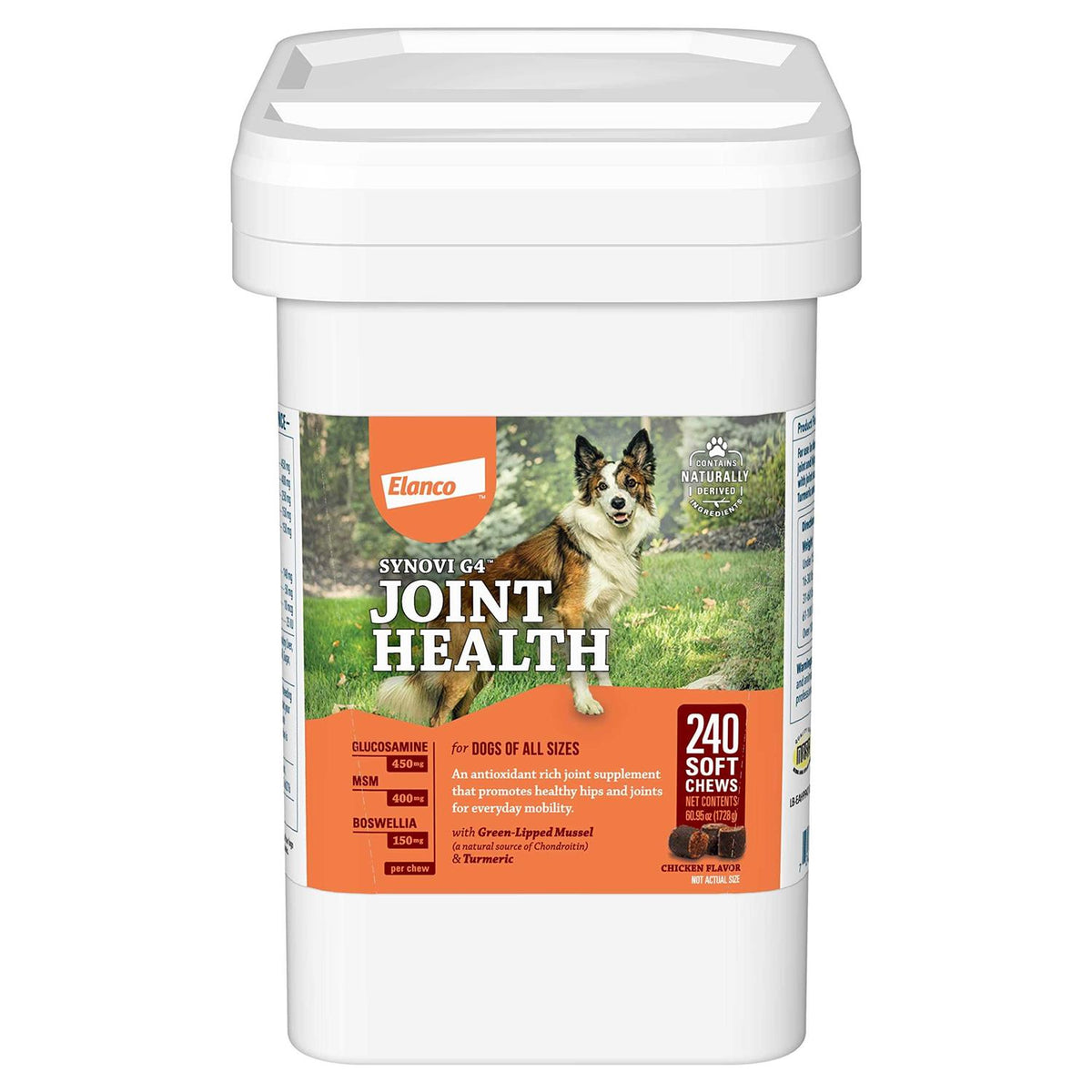 Joint Supplement Soft Chews for Dogs B988