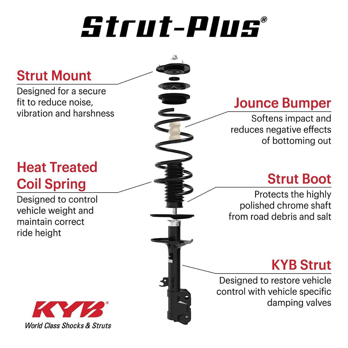 Strut and Coil Spring Assembly W13724