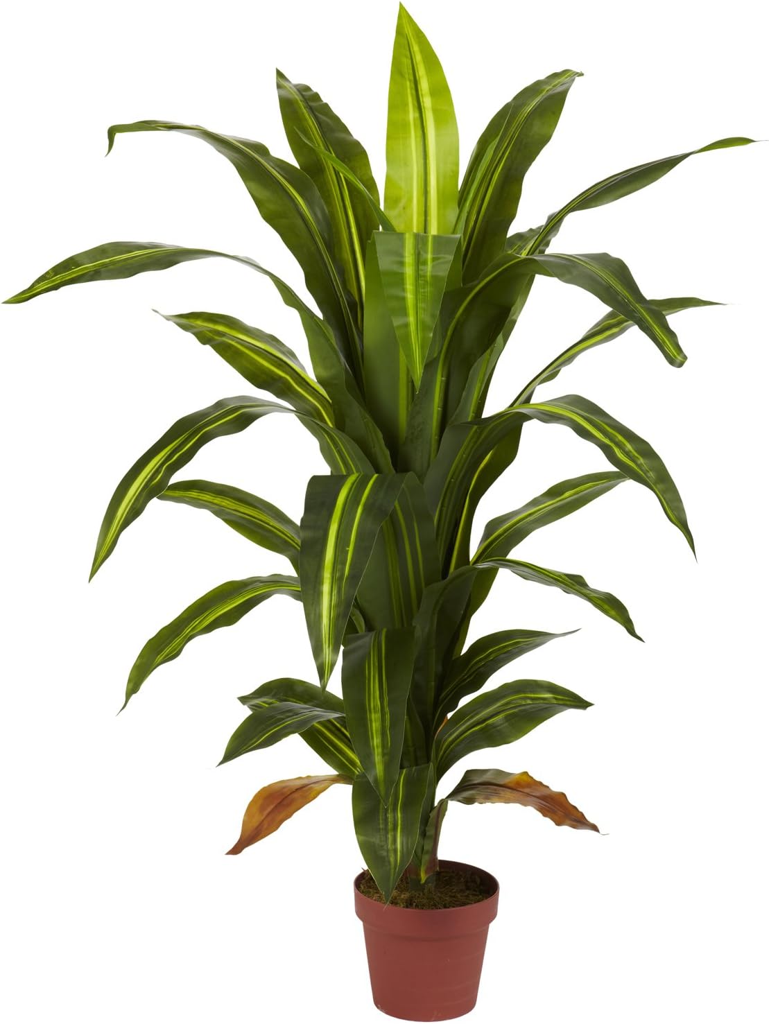 Silk Plant with Stand, 57-Inch, Green O864