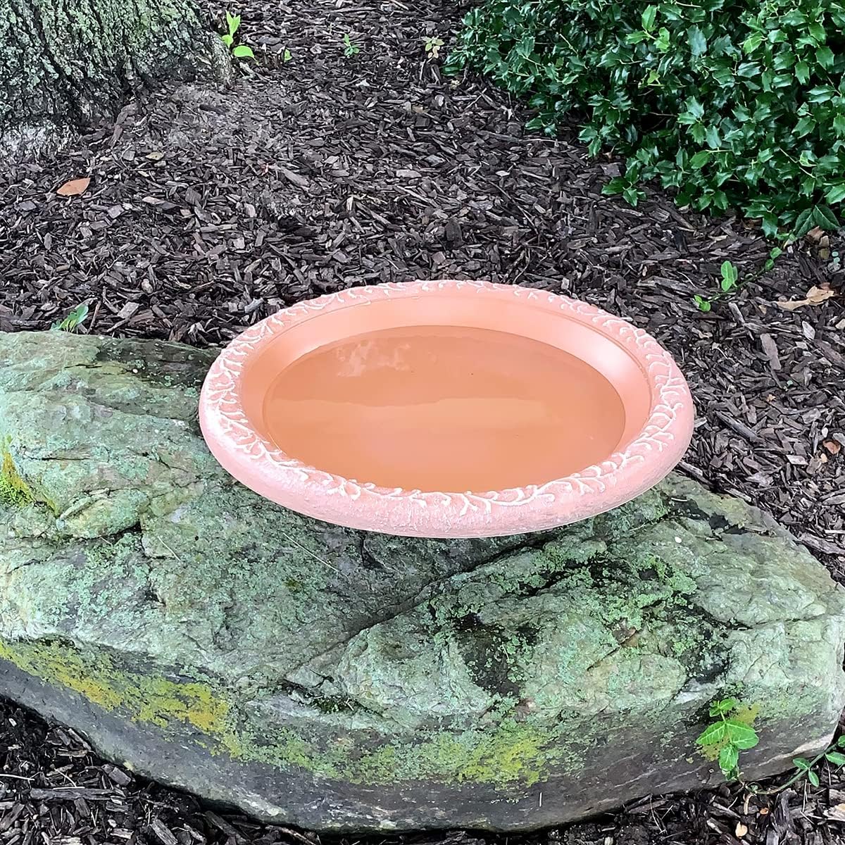 Semi-Gloss Fiber Clay Bird Bowl with Matte Rim I7934