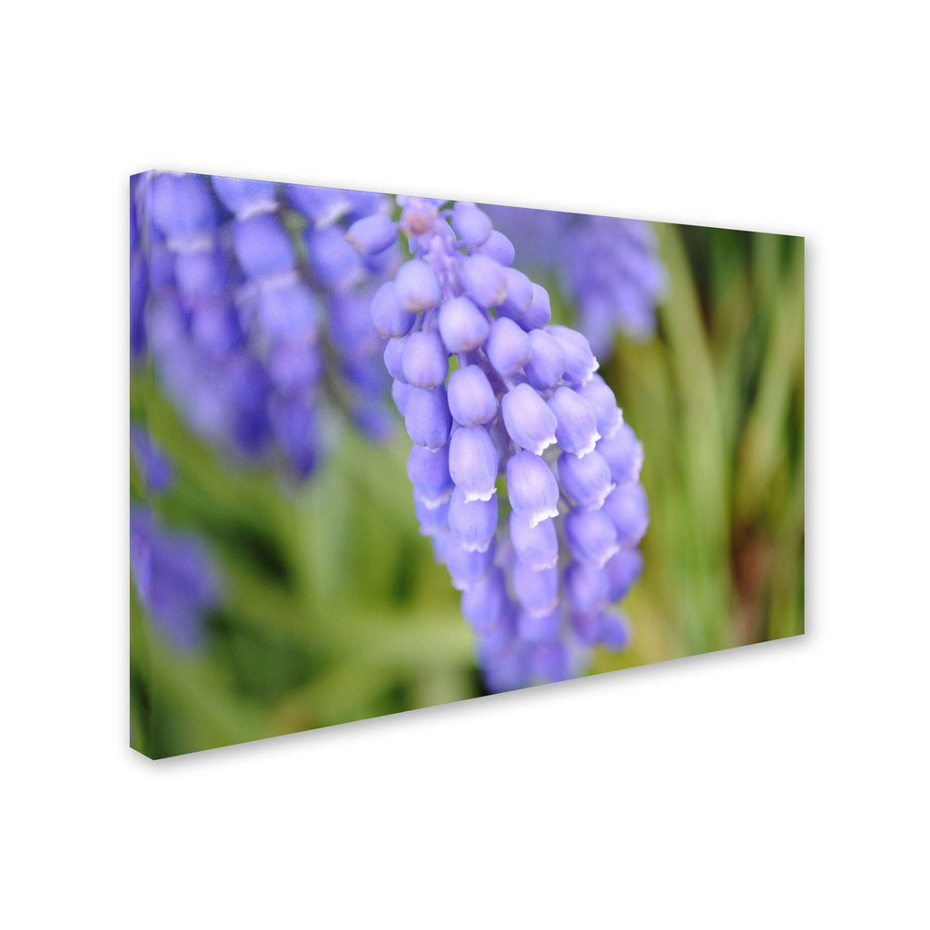 Canvas Art A4010