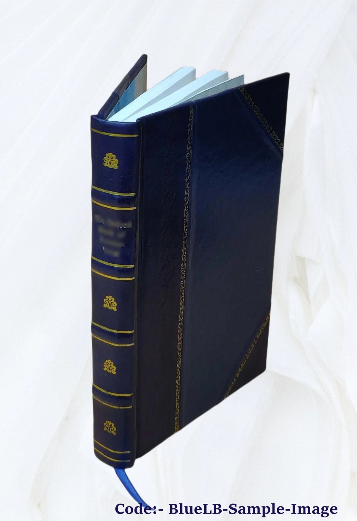 War's brighter side : the story of the Friend newspaper, edited by the correspondents with Lord Roberts's forces, March-April, 1900 / by Julian Ralph (one of the editors) ; with contributions from A. N593