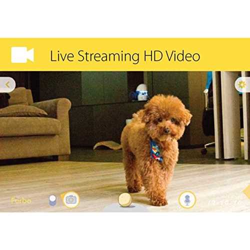 Dog Camera B409965