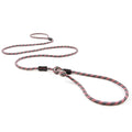 Slip Collar Dog Leash D647
