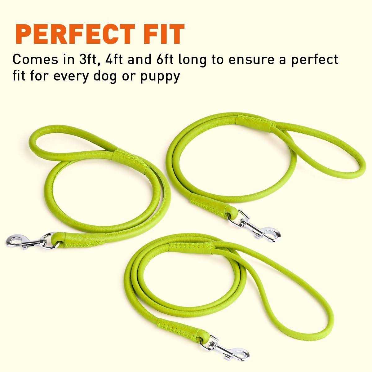 Soft Leather Round Leash E5608